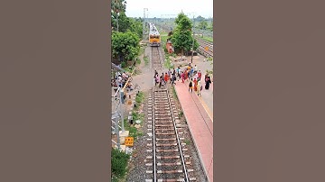 Emu Entry at Railgate #shorts