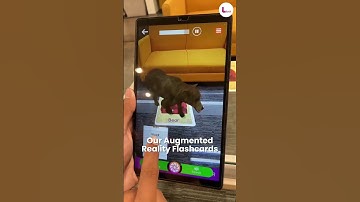 Experience the Future of Learning with LibXR