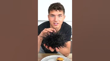 Thumbnail of Eating Live Sea Urchin