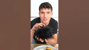 Eating Live Sea Urchin 