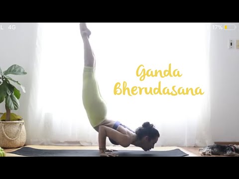 Video: Técnica Para Realizar Vyagrasana En Yoga