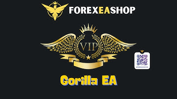 Gorilla EA - How to video setup - ForexEAshop