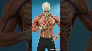 30 Days Push-Up Challenge Chest Transformation Guaranteed (No Gym) #pullups #gym #homeworkout #viral