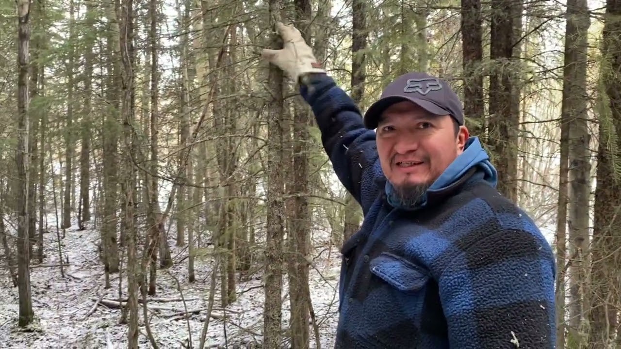 Началась охота на волков 👍🏽