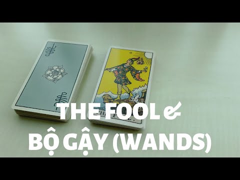 Video THE FOOL & BỘ GẬY (WANDS) - Kết Hợp 2 Lá - youtube