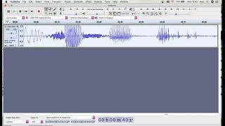 How To RECORD USB MICROPHONE To Audacity