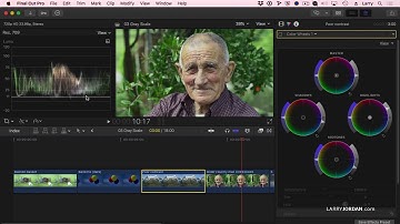 Adjust Image Gray-Scale Values in Final Cut Pro X  - Larry Jordan PowerUp Webinar 261