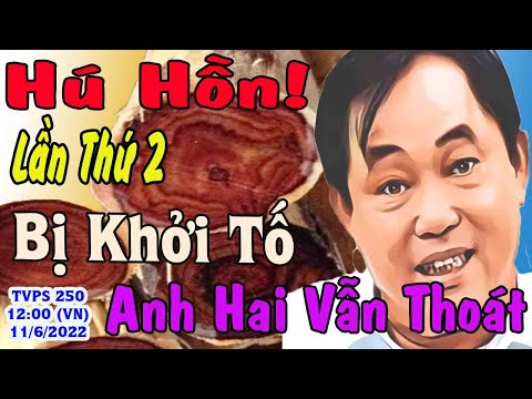 TVPS 250 - Nguyễn Phương Hằng - Thanh Việt
