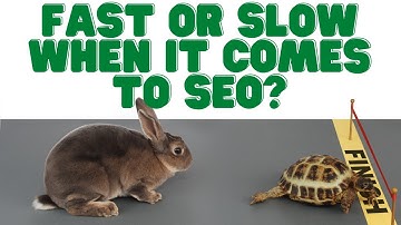 SEO Strategies: The Importance Of Being Both Proactive And Patient! | NumeroUNOWeb.com