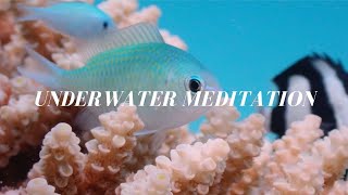 Short Meditation Music  2 Minute Underwater Relaxation, Calming and Stress Relief