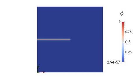 Phase field method for fracture: two dimensional shear test