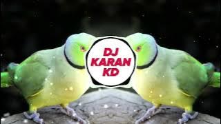 pinjare me popat bole (Tapori Mix) Dj nikhil z|Dj Karan Kd. @djnikhilzofficial @djkarankd9359