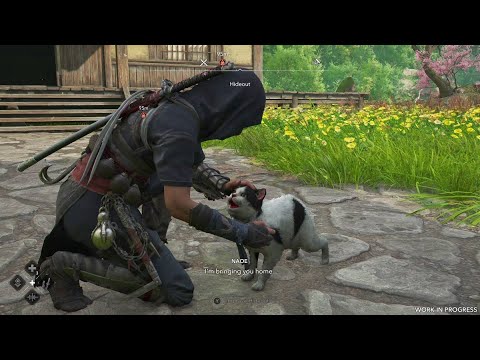 BISA PELIHARA KUCING !!!ASSASSIN'S CREED SHADOWS #2 - YouTube