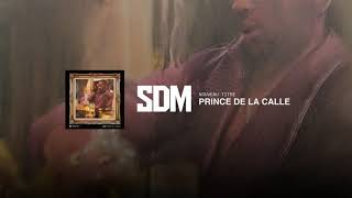 SDM - Prince De La Calle ( Video) Resimi