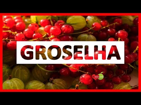 Vídeo: Groselha - Propriedades, Benefícios, Composição, Conteúdo Calórico, Valor Nutricional