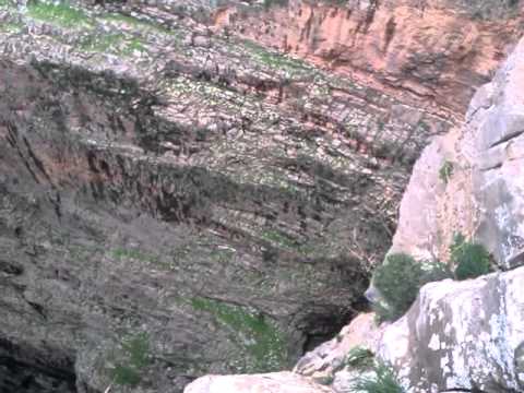 Video image