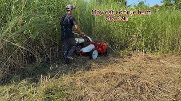 Máy cắt cỏ trục băm Nhật bãi 80cm. 0982449121