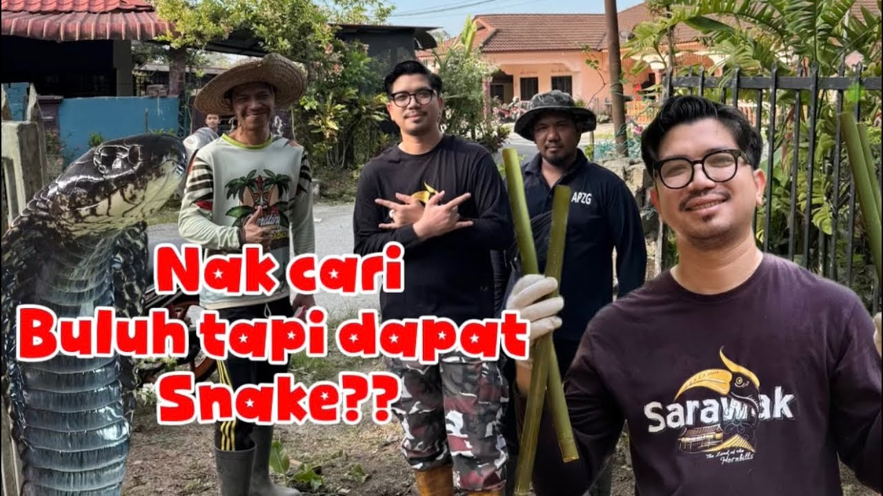 Cari buluh Lemang Untuk Aidilfitri 2026🌙