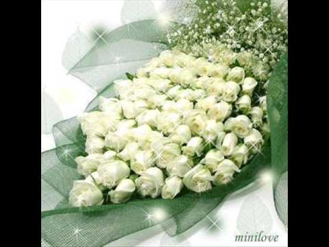 זאהר אחי הטוב שלי 