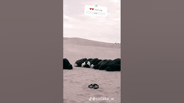 سورة البقرة للقارئ اسلام صبحي #quran #اكسبلور #دويتو #لايك #quran_kareem #حالات_واتس #تيك_توك #ترند