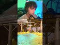 Tous les Soirs sur Twitch ! #gaming #pourtoi #streamer #apexlegends #apexfr