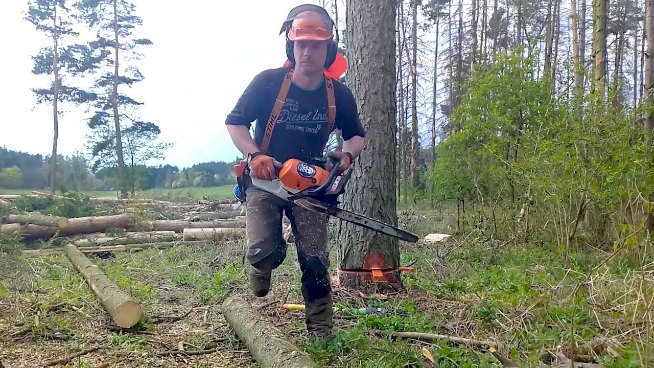 When it falls just right | Wenn der Baum gut fällt | Když to dobře padá