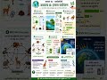 🌍 Class 10 Biology Chapter 8 – हमारा पर्यावरण | Food Chain, Ecosystem, Ozone Layer in Hindi 📚♻️