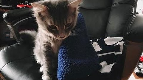 Dungeon Realms. The end for me... and others.