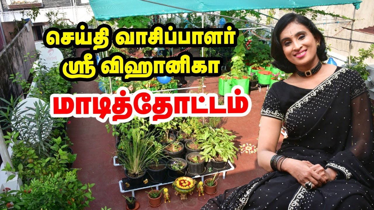 News reader ஶ்ரீ விஹானிகா மாடித்தோட்டம் | sree vihanika terrace garden tour | Pasumai vikatan