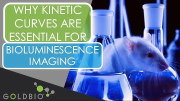 Why Kinetic Curves Are Essential for Bioluminescence Imaging