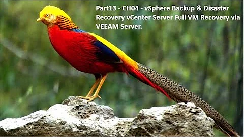 Part13 - CH04 - vSphere Backup & Disaster Recovery vCenter Server Full VM Recovery via VEEAM Server.