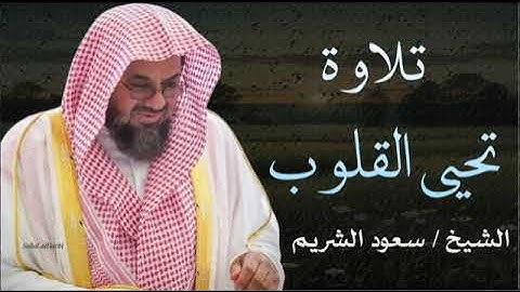 تلاوة تهبك لحظة صفاء لا تشبه أي لحظة أخرى.. 🎧😢