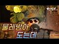달맞이 cover - 물레방아 도는데(나훈아) Cover by Dalmaji #달맞이 #트로트 #나훈아 #물레 #물레방아 #물레방아도는데