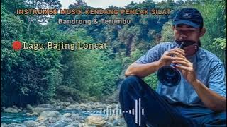 INTSTRUMEN MUSIK KENDANG KENDANG PENCAK SILAT BANDRONG & TERUMBU || LAGU BAJING LONCAT