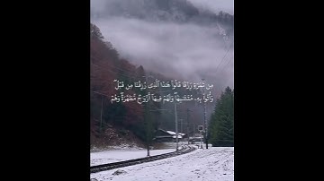 مقطع قرآن قصير بصوت رائع جدا راحه نفسيه 😴💙 #القارئ_طارق_محمد ❤️🎙 اللهم بلغنا ماندعوك به🤲🏻💜🌸 #quran ❁