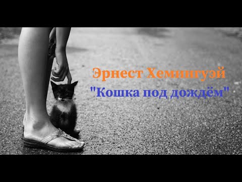 Кошка под дождем хемингуэй аудиокнига