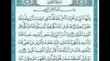 سورة التحريم | تلاوة مباركة تهز القلوب 💚