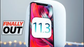 iOS 11.3 Released! Everything You Need To Know
