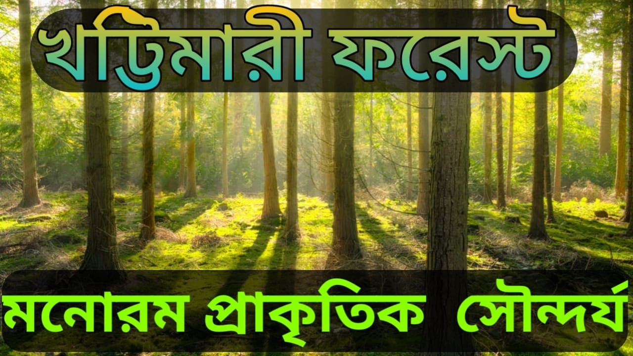 Khuttimari Forest | Gairkata forest | Gosirhat forest | Soakuli forest | Forest beauty | Khatimari