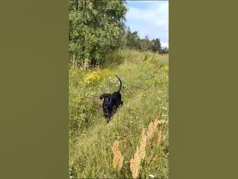Сын Ари и Вени. - YouTube