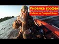 рыбалка трофеи. Рыбалка на Северной Двине 2019