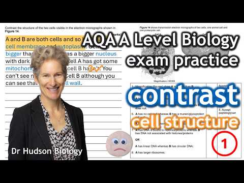 E2.1 Contrast cell structure from microscope images | AQA A Level Biology Exam Practice Topic 2