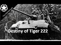 The destiny of kampfgruppe peipers tigers  king tiger 222