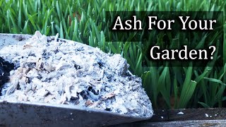 Ash For Your Garden  4 Ways To Apply It Properly