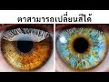 ข้อเท็จจริงของร่างกายแบบเร็ว ๆ 100+ ข้อที่พิสูจน์ว่าคุณนั้นไร้ขีดจำกัด