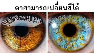 ข้อเท็จจริงของร่างกายแบบเร็ว ๆ 100+ ข้อที่พิสูจน์ว่าคุณนั้นไร้ขีดจำกัด