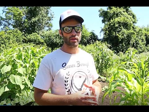 Greg Schundler Volunteer At Earthman Farm- An Inspirational Farmer in USA | Interview | R9 News