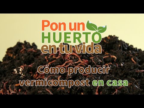 Cómo producir vermicompost en casa - Pon un huerto en tu vida - Planeta Huerto