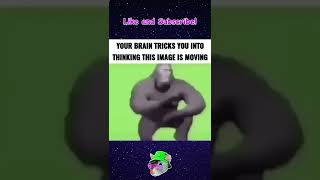 Surreal Memes That Distort Your Existence #shorts