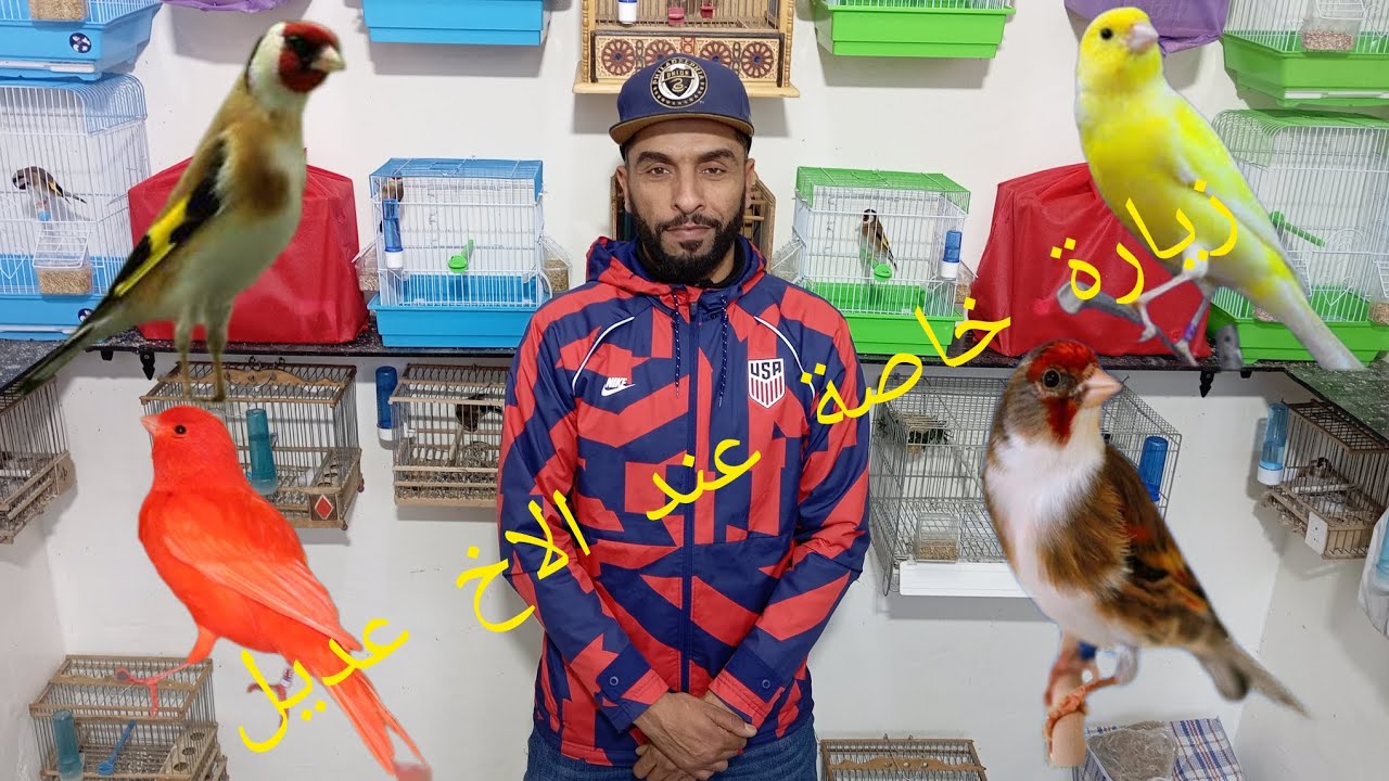 زيارة خاصة عند الاخ عديل فرجة ممتعة للجميع